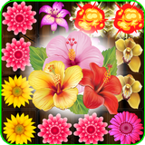 Blossom Garden Zeichen