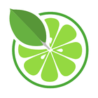 MongoLime - MongoDB client ícone