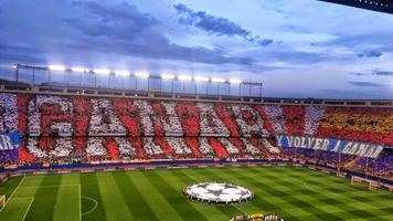 Mi Atleti! Ekran Görüntüsü 3