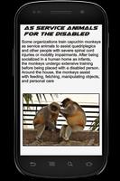 Monkey Info Book स्क्रीनशॉट 2