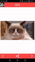 Cats Gifs پوسٹر