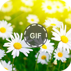 Flower Gifs icône