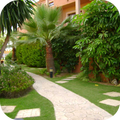 Garten-Tapete