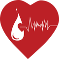 Blood Life