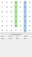 Words Search Perfect Swipe screenshot 3