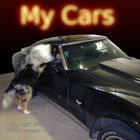 My Cars أيقونة