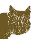 Cat Age Calculator APK