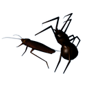 Cockroach And Spider Lite APK