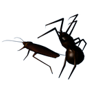 Cockroach And Spider Lite icon