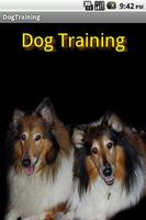 Dog Training 海报