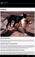 Dog Training APK download