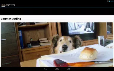 Dog Training APK download