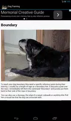 Dog Training APK download