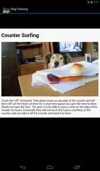 Dog Training APK download