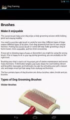 Dog Training APK download