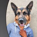 Changeur de photo visage animal APK