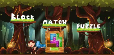 Blocks Match Puzzle