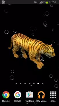 超霸氣老虎3d動態桌布apk 1 3安卓下載 下載超霸氣老虎3d動態桌布apk最新版本 Apkfab Com