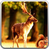 Winter Forest 3D APK
