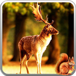 Зимний лес 3D