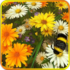 Wild Flowers 3D Live Wallpaper APK