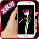 X光射线花朵动态壁纸 APK