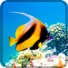 Aquarium Live Wallpaper আইকন