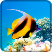 Aquarium Live Wallpaper