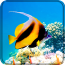 水族馆动态壁纸 - 热带鱼海底世界 APK