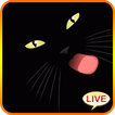 Black Cat Live Wallpaper