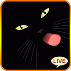 Black Cat Live Wallpaper icône