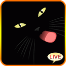 有趣的黑猫桌面 APK