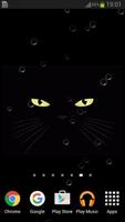 Black Cat Live Wallpaper Affiche