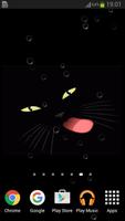 Black Cat Live Wallpaper capture d'écran 1
