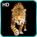 Cheetah LWP For Galaxy S7 Edge APK