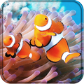 Clownfish 3D Live Wallpaper