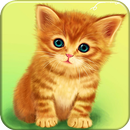 Cute Baby Cat APK