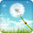 Dandelion Live Wallpaper APK
