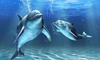 Dolphins Live Wallpaper Affiche