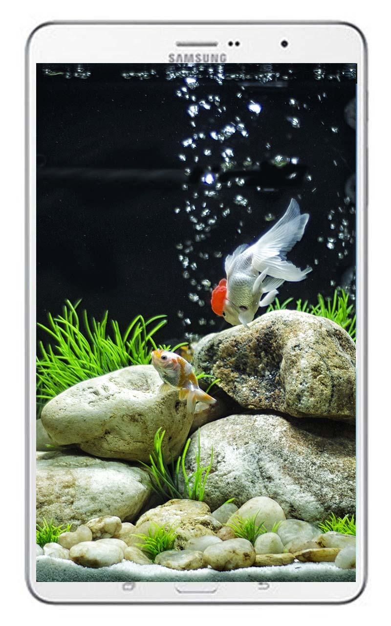 Goldfish Live Wallpaper APK for Android – Download Goldfish Live Wallpaper APK Latest Version from Goldfish Live Wallpaper APK for Android – Download Goldfish Live Wallpaper APK Latest Version from