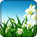 Spring Live Wallpaper APK