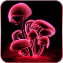 Mushroom 3D Live Wallpaper APK