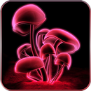 3D蘑菇动态壁纸 APK