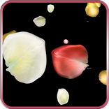 Petals Live Wallpaper