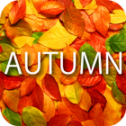 Autumn Live Wallpaper أيقونة