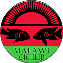 Malawi Cichlid APK