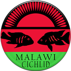 Malawi Cichlid biểu tượng