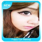 ikon Puppy Eye Makeup