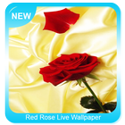 Red rose live wallpaper icône