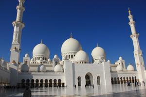 Mosques Wallpapers imagem de tela 2